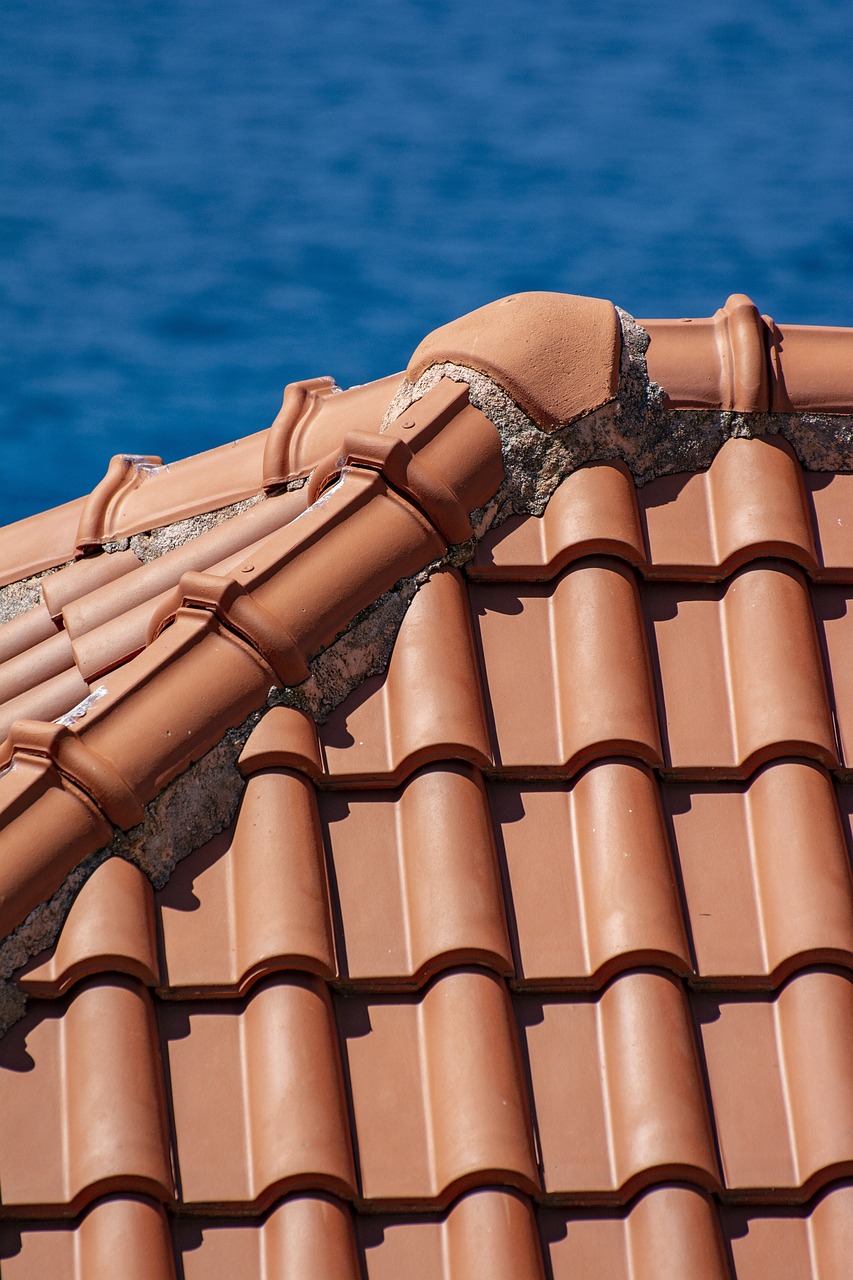 gallery-02 roof, roofing, house, property, attic, wall, roofing, roofing, roofing, roofing, roofing, attic